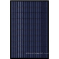 260W Black Poly Panel for Denmark Market with EU Stock